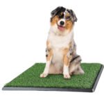 Pet Training Products